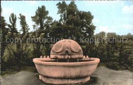 41561335 Bad Bellingen Brunnen Bad Bellingen - Bad Bellingen