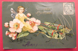 Carte Postale Fantaisie Souvenir Affectueux Fée Elfe Criquet Fleurs Aubépine - Saluti Da.../ Gruss Aus...