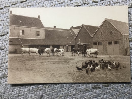 Deinze Kostschool Boerderij - Deinze