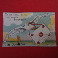 CARTE A SYSTEME SOUVENIR DE QUIBERON - Otros & Sin Clasificación