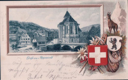 Gruss Aus Appenzell, Cadre Avec Armoiries, Chamois, Edelweiss Et Pactage D'alpiniste, Litho Gaufrée (8803) - Appenzell