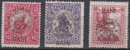 Transylvanie Cluj Kolozsvar 1919 N° 11-13 * Timbres De Bienfaisance   (J20) - Transilvania