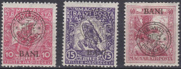 Transylvanie Cluj Kolozsvar 1919 N° 11-13 * Timbres De Bienfaisance   (J20) - Transilvania