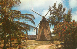 Barbados Old Sugar Mill At Morgan Lewis - Barbados (Barbuda)