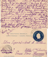 ARGENTINA 1902 POSTCARD SENT TO CELLE - Covers & Documents