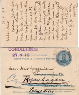 ARGENTINA 1912 POSTCARD SENT TO KOPENHAGEN - Briefe U. Dokumente