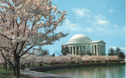 THE JEFFERSON MEMORIAL AT CHERRY BLOSSOM TIME - Washington DC