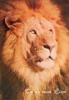 CPSM - LION - TU ES MON LION - Lions