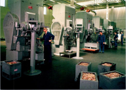 17-1-2024 (1 X 20) Australia- ACT - Canberra - Royal Australian Mint (coins Production Hall) - Monnaies (représentations)