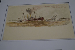 Carte Paquebot 1899, Le Léopold II,timbré 5 C. Vert Jaune ,état Neuf Pour Collection - Paquebots