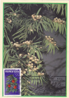 MEDICINAL PLANTS,MAXI CARD ,CM,CARTES MAXIMUM 1998 SUCEAVA ROMANIA. - Plantes Médicinales