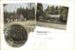 41392965 Werdau Sachsen Waidmannsruhe Restauration Hirsche Forsthaus Werdau Sach - Werdau