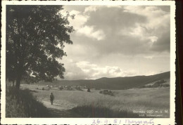 41391791 Bernau Schwarzwald Panorama Bernau Schwarzwald - Bernau