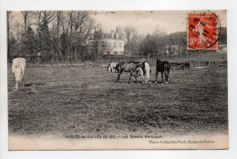 - CPA NESLES-LA-VALLÉE (95) - Les Grands Herbages 1911 - Photo-Collection Fleck - - Nesles-la-Vallée