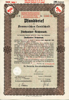 4 % Pommerschen Landschaft Pfandbrief 500 Reichsmark, Stettin 1941. #D8 - Agricoltura