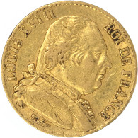 Louis XVIII-20 Francs 1815 Paris - 20 Francs (goud)