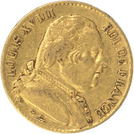 Louis XVIII-20 Francs 1814 Paris - 20 Francs (oro)