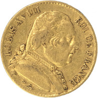 Louis XVIII-20 Francs 1814 Paris - 20 Francs (or)
