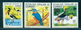 1976 Bird,Saddle-billed Stork,kingfisher,The Black Crowned Crane,Congo,M.544,MNH - Cranes And Other Gruiformes