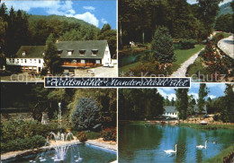 72210729 Manderscheid Eifel Hotel Restaurant Heidsmuehle Park Springbrunnen Schw - Manderscheid