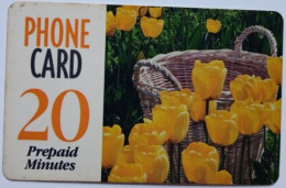 USA Ameritech 20 Minute Phonecard - Flower - Autres & Non Classés