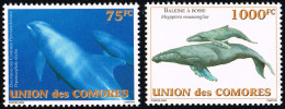 Comores Comoros Dolphin Whale Dauphin Baleine 2003 - 2 Val. ** MNH Mi 1793 1794 - Delfines