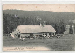 Chalet De La Vallée De Joux Vaches Alpage Jura Vaudois Vaud - Lago De Joux