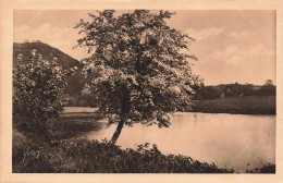 FRANCE - Suisse Normandie - Environs De Thury Harcourt - Carte Postale Ancienne - Thury Harcourt