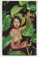 POLYNESIE CARTE FEMME NU NUDE + VERSO 2FR+10FR POISSON PAPEETE 1963 TAHITIAN BEAUTY - Briefe U. Dokumente