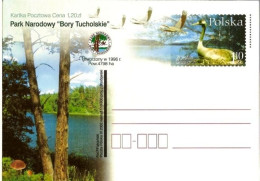 Cp 1275 Poland Park Narodowy Bory Tucholskie Grus Grus 2002 - Gru & Uccelli Trampolieri