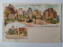 Gruss Aus Dem Teutoburger Wald, Litho, Hotel Externstein,  Pensionshaus, 1900 - Bad Meinberg