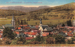 FRANCE - Woerth Sur Sauer - Vue Générale - Gesamtansicht - Carte Postale Ancienne - Woerth