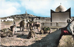 ALGÉRIE - Ghardaïa - Caravane Près Du Marabout Du Cimetière - Carte Postale Ancienne - Ghardaïa