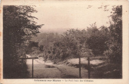 FRANCE - Ormesson Sur Marne - Le Petit Bois Des Châtelets - Carte Postale Ancienne - Ormesson Sur Marne