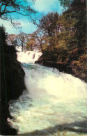 United Kingdom Wales Betws-y-Coed The Swallow Falls - Caernarvonshire