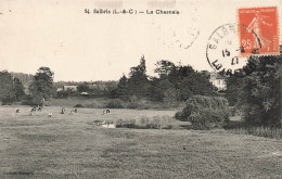 FRANCE - Salbris - Vue Sur La Chesnaie -  Carte Postale Ancienne - Salbris