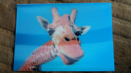 CPM GIRAFE 3 D RELIEF GIRAFFE BENNY REBEL AUTHENTIC CARDS - Giraffe