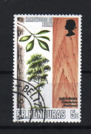 HONDURAS BRITANNICO BRITISH HONDURAS - 1970 - Calophyllum Brasiliense - Used Stamp          MyRef:L - Honduras Britannico (...-1970)