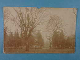 Carte Photo Ferme Du Parc De Chimay Albert Chantrenne Est Devant Avec Sa Cognée 1930 (ETAT) - Chimay