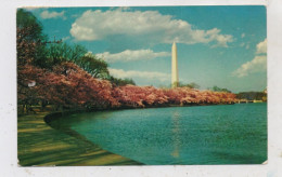 USA - WASHINGTON D.C., Wahington Monument - Washington DC