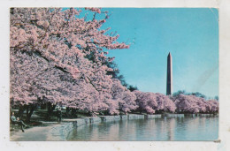 USA - WASHINGTON D.C., Wahington Monument - Washington DC