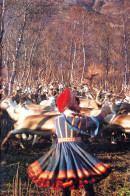 Claude-Marie Vadrot - Lapland En De Lappen - Aardrijkskunde