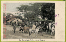 Af2534 - HONDURAS - VINTAGE POSTCARD - San Pedro Sula, Embarque De Bananos - Honduras