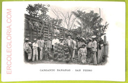 Af2541 - HONDURAS - VINTAGE POSTCARD - San Pedro - Cargando Bananas - Honduras