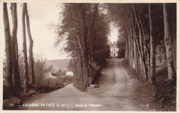Caudebec En Caux * Carte Photo * Route De Villequier - Caudebec-en-Caux