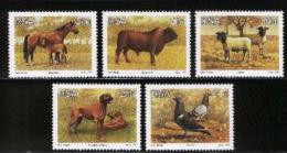 REPUBLIC OF SOUTH AFRICA, 1991, MNH Stamp(s) Animals,  Nr(s.) 813-817 - Nuovi