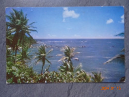 BEACH SCENE - Trinidad