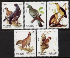 Sharjah 1972, Birds I, Pigeon, 5val - Duiven En Duifachtigen