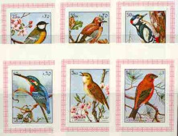 Sharjah 1972, Birds II, Kingfisher, 6val IMPERFORATED - Climbing Birds