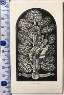 Ex-libris H. Ardnt. Arbre Serpent Femme Mort Squelette Medicin. Exlibris Ardnt. Tree Snake Woman Death Skeleton Medicine - Bookplates